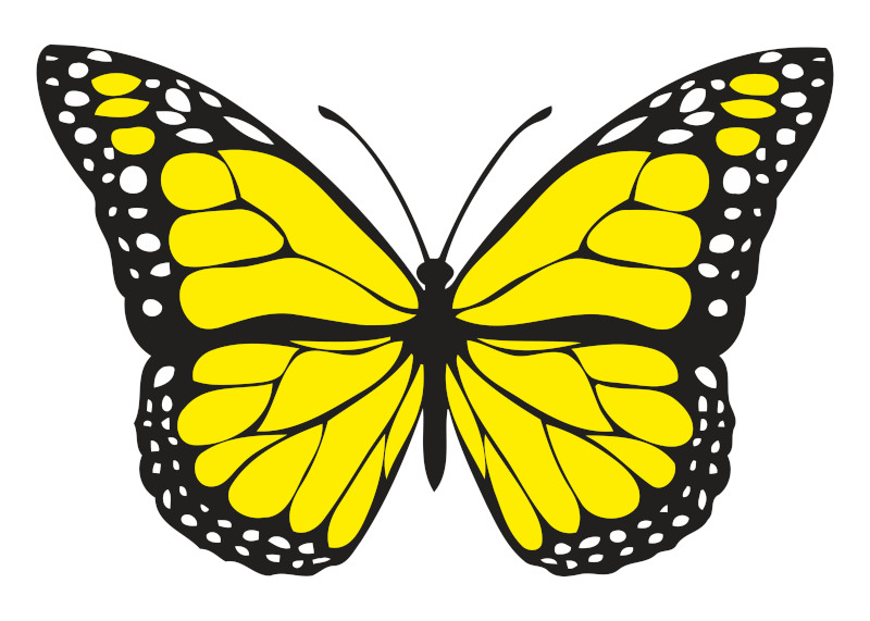 Yellow Simple Line Illustration of Butterfly
